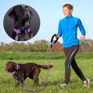 <span class=keywords><strong>Collar</strong></span> de seguridad ajustable de nailon para perro con logotipo personalizado, conjunto de collares y correas acolchadas para mascotas suaves reflectantes para paseos al aire libre, nailon transpirable - Product Image 2