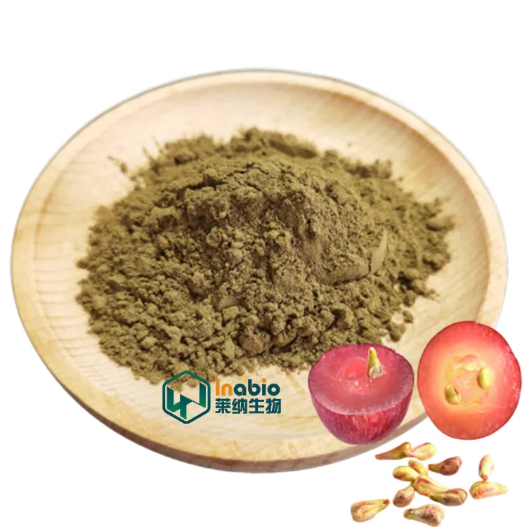 LYNA high quality grape seed extract Vitis vinifera grape seed extract powder