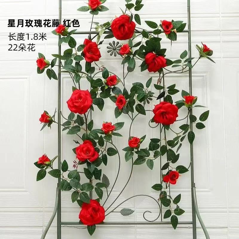 Vigne de roses Déesse Étoile et Lune - Rouge