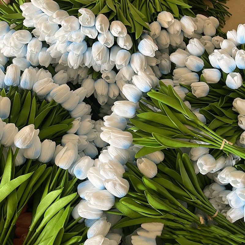 Blu-chiaro
