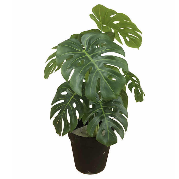 กองทัพสีเขียว