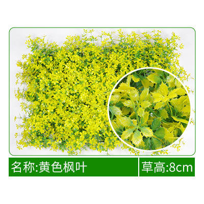 Feuille d'érable jaune