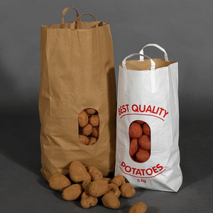 Robuste Mesh <span class=keywords><strong>Net</strong></span> Window Papiertüte mit benutzer definiertem Logo-Druck 1,5 kg bis 25kg Kartoffel zwiebel Verpackung Lagerung Lebensmittel Industrie griff