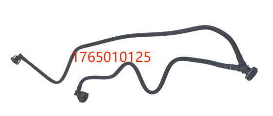 1765010125