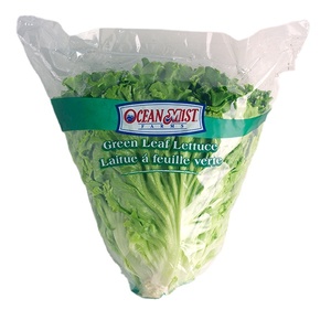 CPP OPP LDPE Green leef ผัก apium เล็กแบนกระเป๋าทรงกรวย - Product Image 2