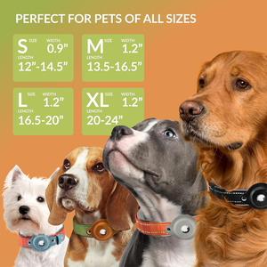 Nuevo <span class=keywords><strong>Collar</strong></span> táctico de cuero para perros medianos y grandes, conjunto de posicionamiento Airtag de poliéster duradero, estampado de estilo Simple - Product Image 4