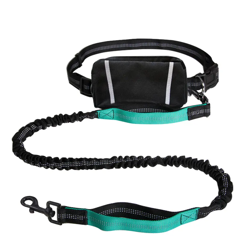 Customize selling nylon dog harness leash reflect luxury rope dog leash running hands free dog leash