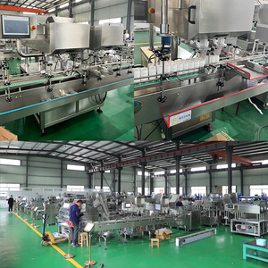 CE <strong>CGMP</strong> High Speed Small Automatic Pill Counter Powder Capsule and Tablet Counting Machine - Product Image 6
