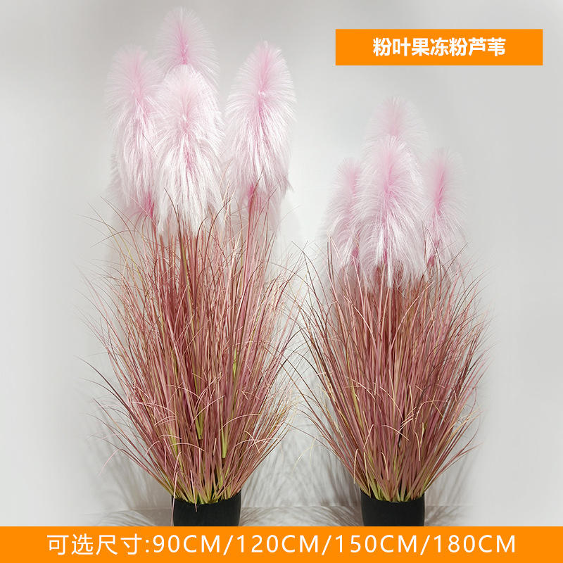 Jelly de feuilles roses, rose Reed