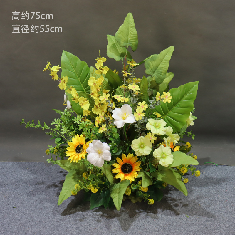 Horseshoe leaf dancing orchid pot flower