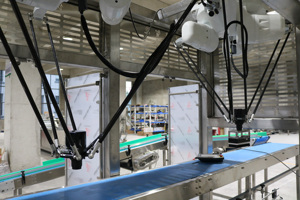 Industrie roboter Intelligenter Picking Delta-Roboter für die Lebensmittel industrie Automatischer Delta Parallel-Roboter für Lebensmittel karton verpackungen - Product Image 5