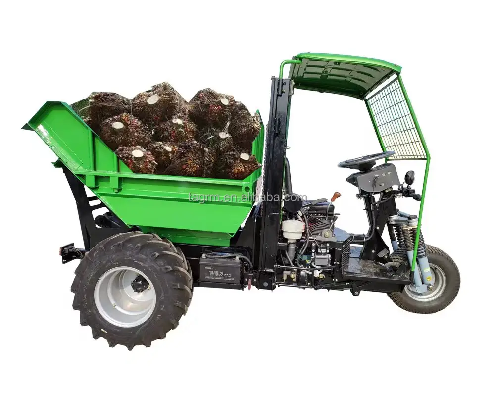 Piccolo dumper tipo di ruota triciclo palma da olio caricatore per sollevamento di frutta trasporto palm garden dumper sawah ribaltabile mini dumper di palma