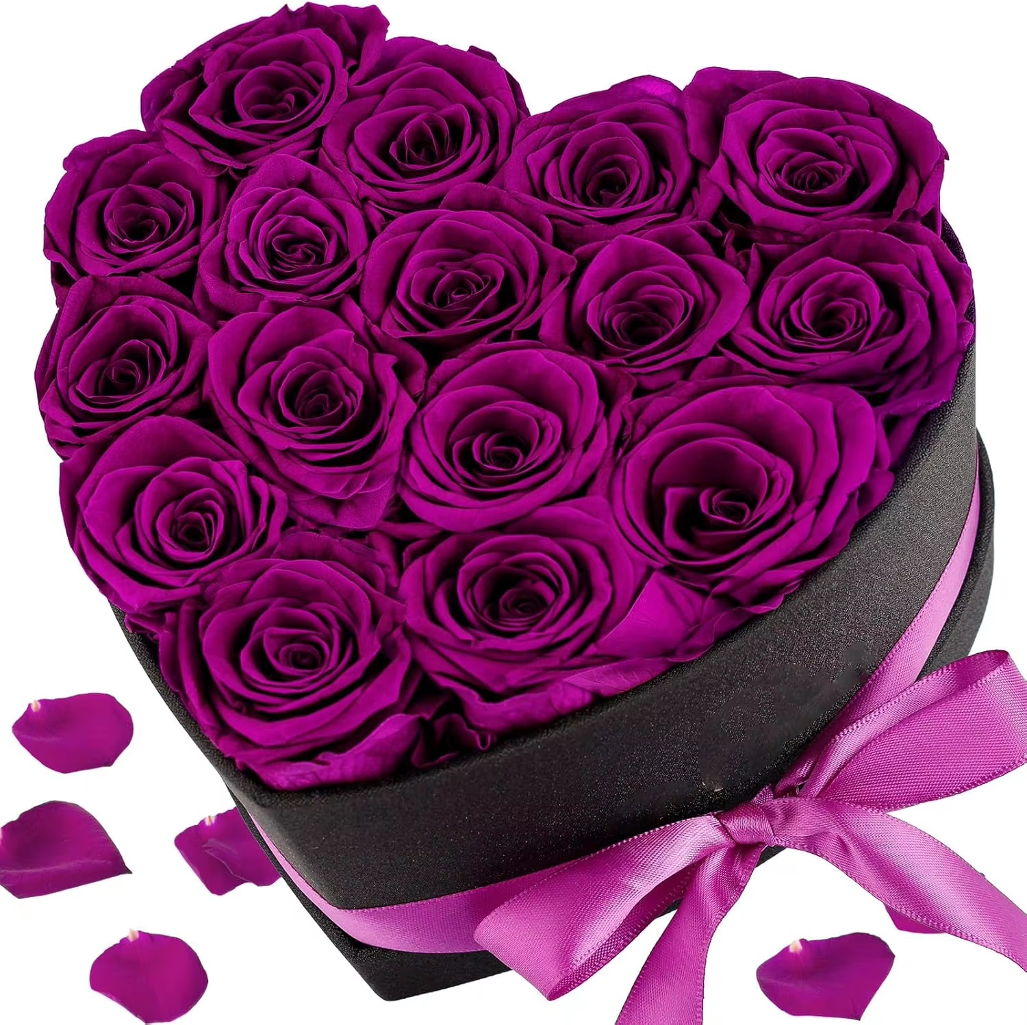 Rsoes violets-16