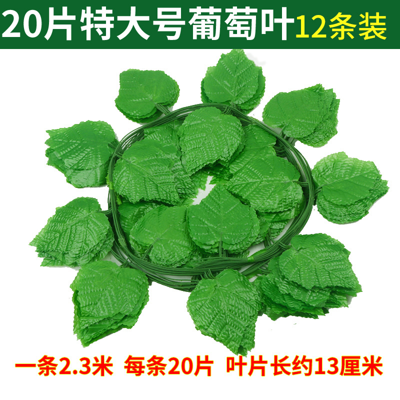 20 feuilles de vigne extra-larges-12 pièces
