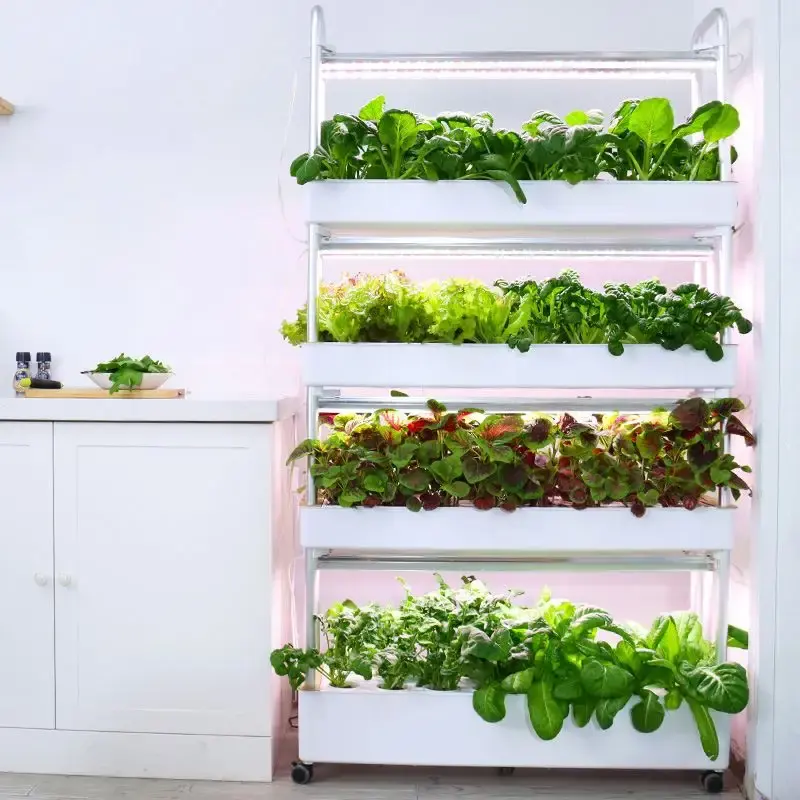 Indoor Use Garden Hydro ponic, Anbaus ysteme Gemüse Landwirtschaft liche Maschinen Aquaponic System für Blatt pflanzung