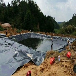 High Quality Customized Thickness 0.4mm 0.9mm <strong>1.2mm</strong> Geomembranes Fish Poly Pond Liner <strong>Hdpe</strong> Sheet - Product Image 4