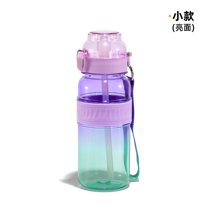Purple-green gradient-small size glossy-800ml