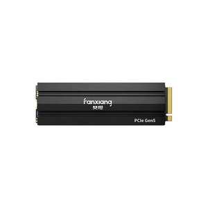 500GB 1TB 2TB M2 M.2 2280 NVMe 1.4 PCIe 4.0 Gen 4x4ฮีทซิงค์ interno SSD ฮาร์ดไดรฟ์แบบ Solid State สำหรับ PS5 PlayStation 5 - Product Image 1
