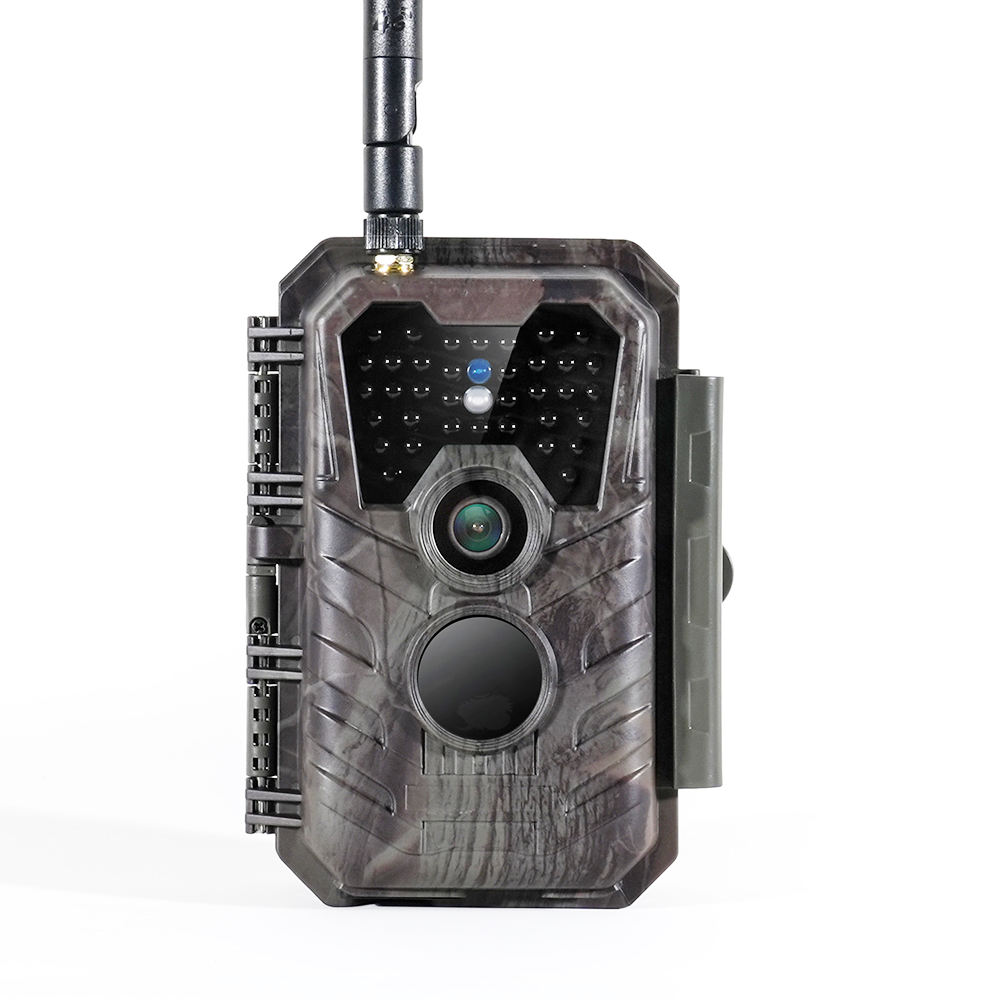 สีน้ำตาล/ลายพราง