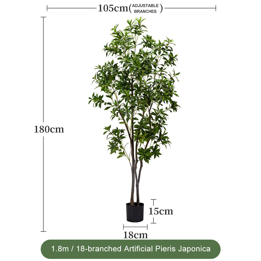 VERT 1,8 m - 18 branches Pieris japonica - Feuillage plus dense (version améliorée)