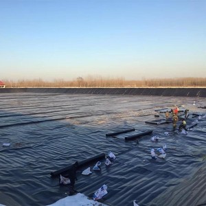 Endüstriyel stil HDPE HDPE balık gölet Liner 1.5mm LDPE/LLDPE geomembran depolama için mayın 60mil 80mil HDPE astar - Product Image 6