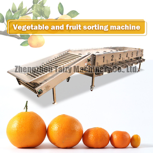 Orange Size Sorting Machine Fruit Size Grade <strong>Classify</strong> Machine with Good Price - Product Image 3