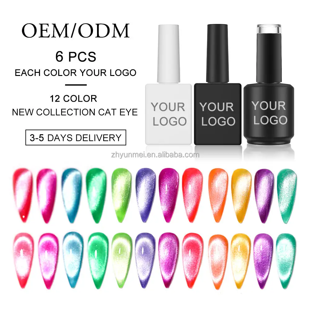 OEM ODM UV Gel Set di smalto in resina materiale lampada a LED sorgente occhio di gatto modello di colore libero Gel fabbrica HEMA gratis