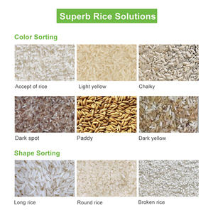 Ortor de arroz para la lluvia, color frío, Plástico - Product Image 4