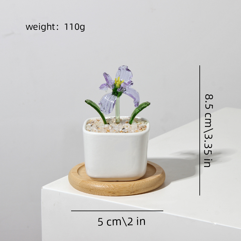 Iris violet de février