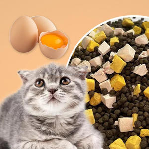 कारखाने प्रत्यक्ष अनुकूलित स्वाद पालतू भोजन वितरक 1 से 12 महीने की बिल्ली और कुत्ते चिकन हलाल सूखे भोजन - Product Image 6