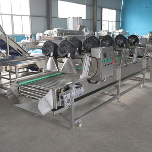 樱桃番茄气泡清洗空气干燥分选机橄榄加工生产线 - Product Image 4