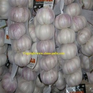 20ft 40ft <span class=keywords><strong>Container</strong></span> laden China frischen weißen Knoblauch Preis in niedrig für Import/<span class=keywords><strong>Export</strong></span>