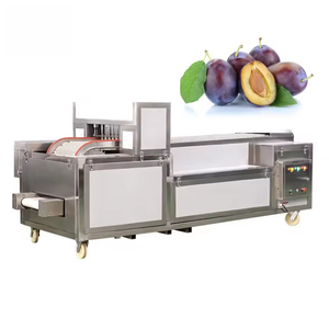 Ciliegia datteri albicocca prugna rosso datteri macchina per vaiolatura macchina per vaiolatura frutta secca lavaggio asciugatura datteri pasta in polvere linea di produzione pesca mela pera - Product Image 2