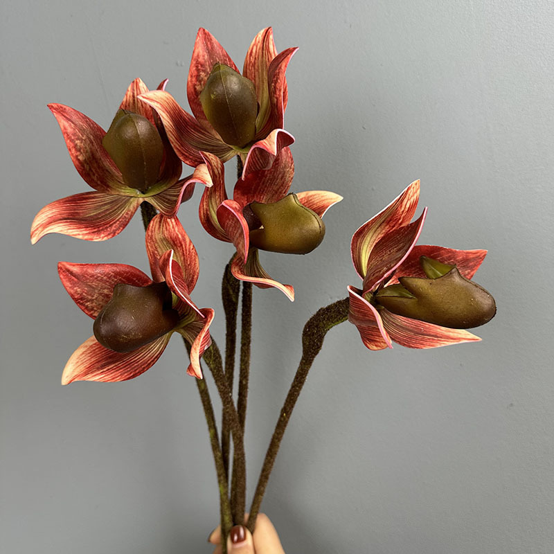 Princess orchid-single stem-deep orange