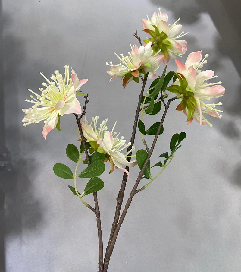 Rose pâle