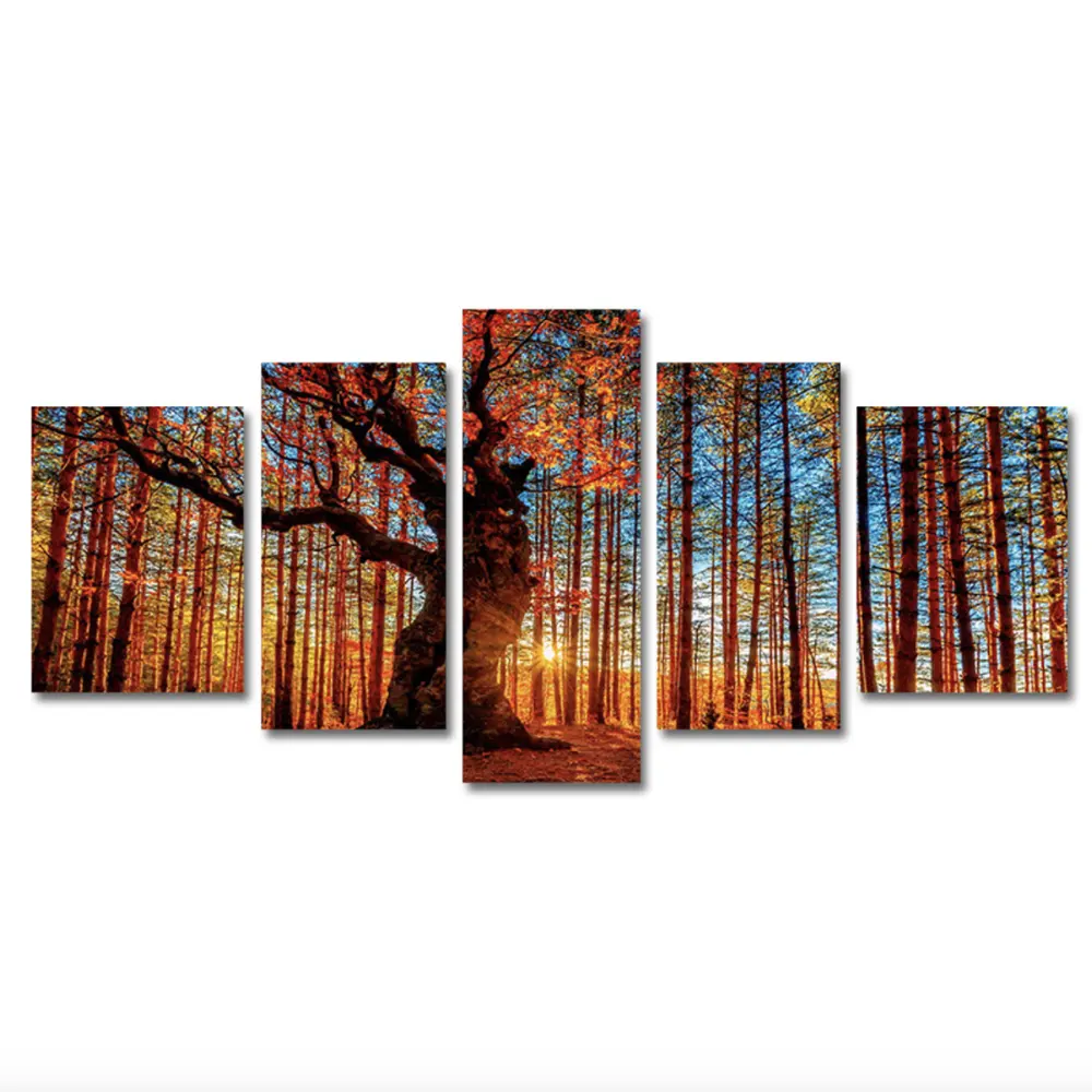 5 Panels Moderne Kunst Landschaft HD Druck auf Leinwand Sonnenschein Wald Wand Bild für Wohnzimmer