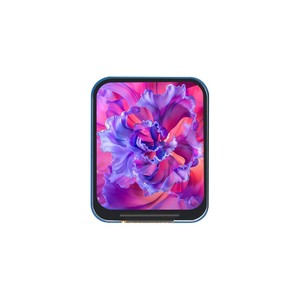 Modulo Display LCD da 1.69 pollici, risoluzione 240x280, interfaccia SPI, IPS, colori 262K - Product Image 1