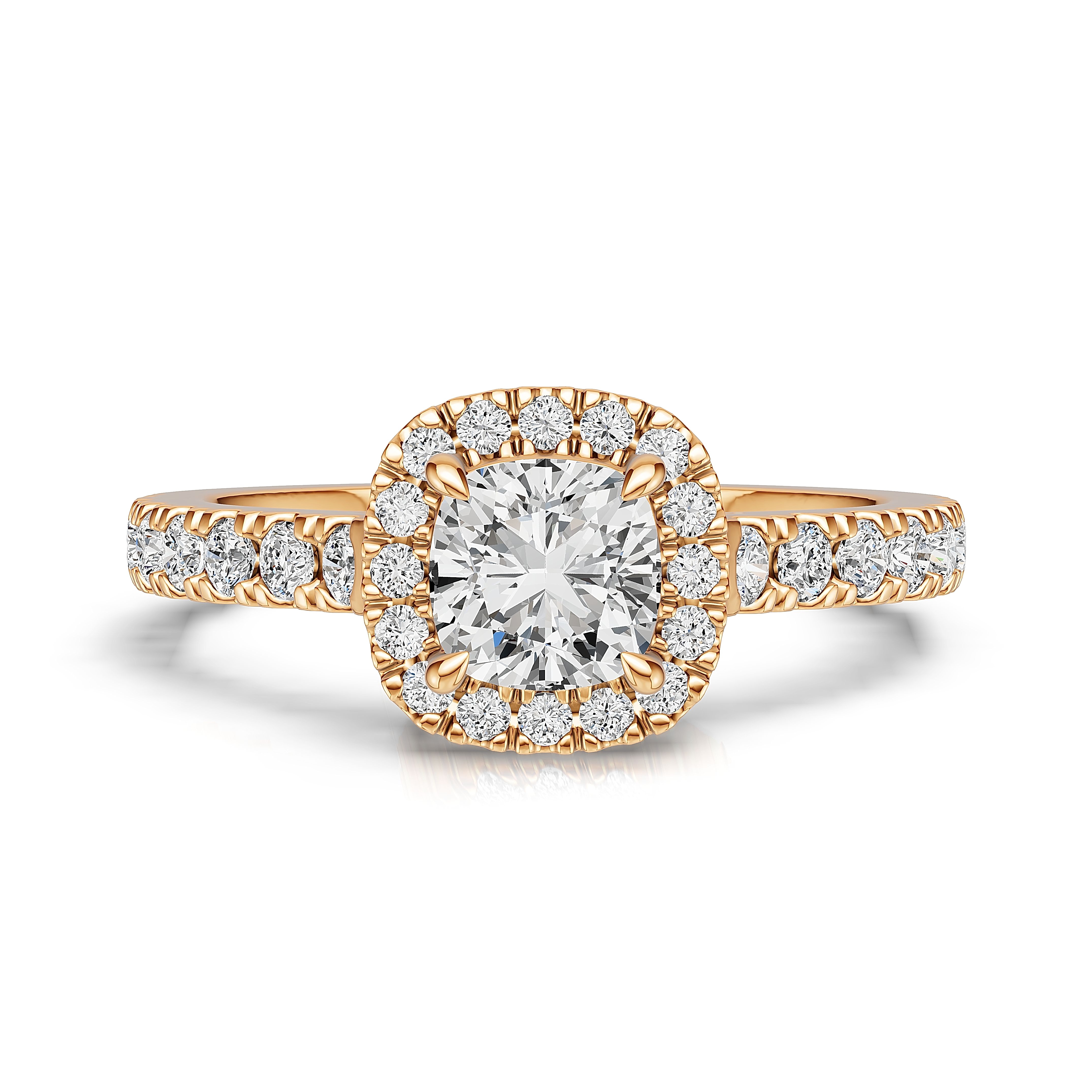 AuDR0003685-rosa