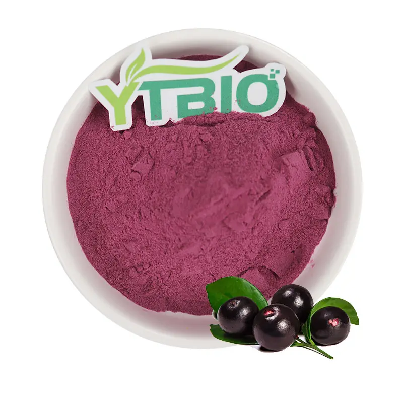 Großhandels preis Acai berry Extract Powder Acai Berry Powder