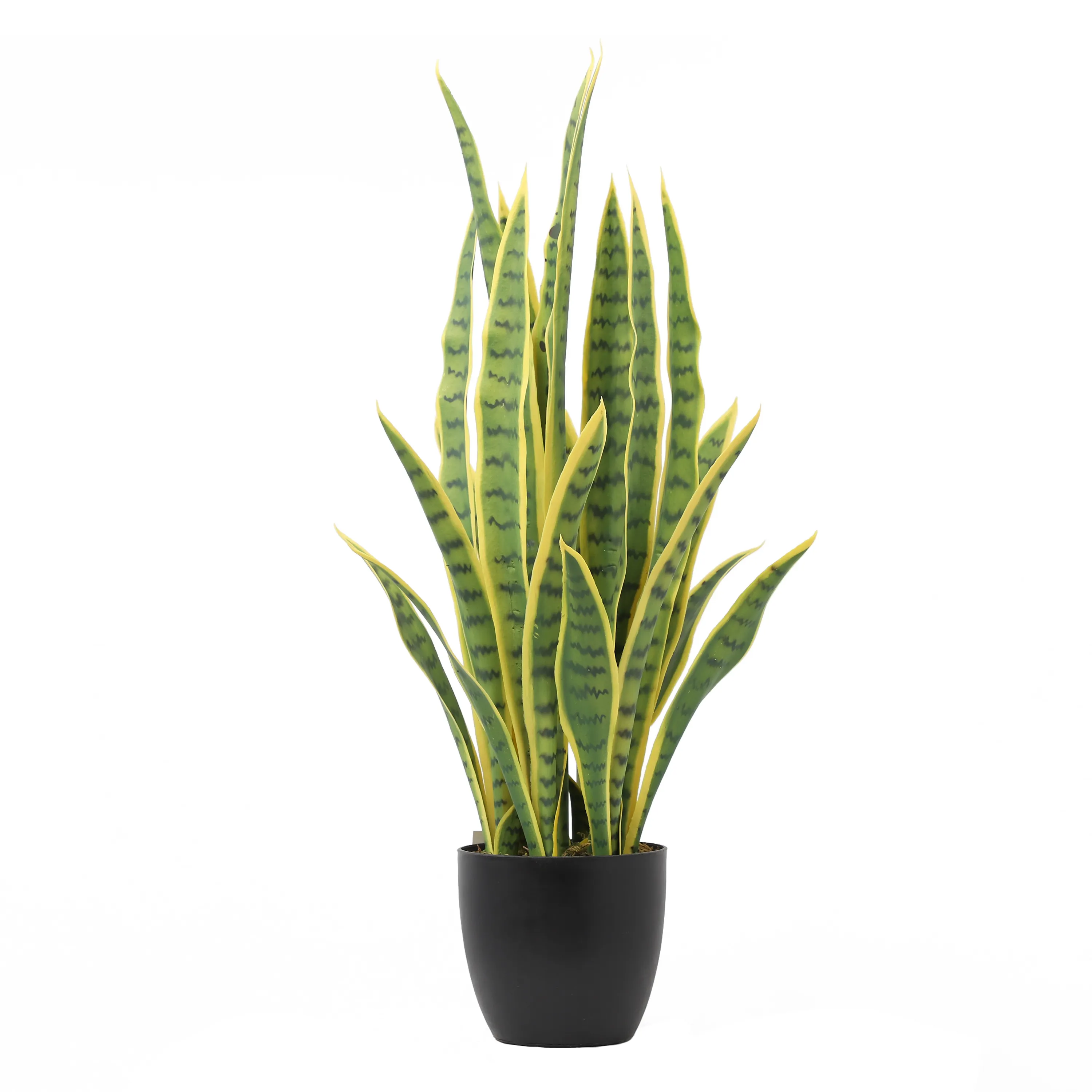 Yapay tropikal yapraklar yapmak yapay Sansevieria trifasciata