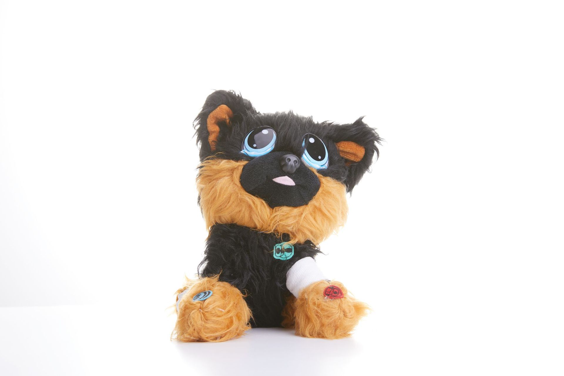 Negro - perro