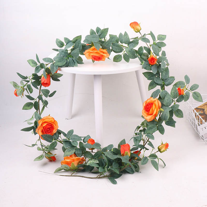 Nouvelle vigne rose orange