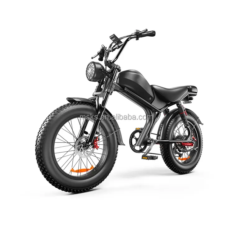 دراجة Retro ضخمة عالية الجودة من مستودع أوروبا دراجة كهربائية 48 فولت محرك 1000 وات مع تعليق كامل ودورة لإطارات الدهون