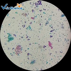 Microscopio biológico básico, juego de diapositivas preparadas, diapositivas de microscopio de enseñanza para la ciencia médica - Product Image 6