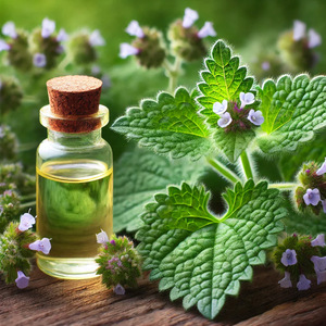 Aceite esencial difusor a granel al por mayor para el cuidado de la piel fragancia natural para difusor aceite de hierba gatera de larga duración para hacer perfumes - Product Image 4