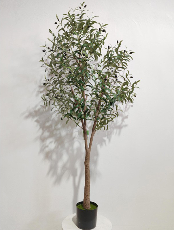 Green 180cm (Detachable Version)