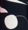 Color5