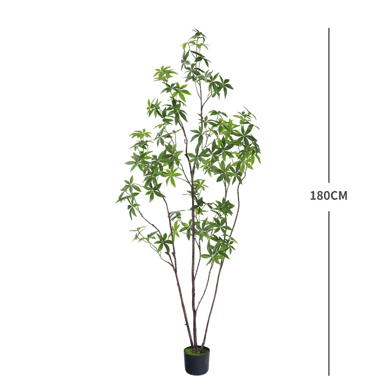A 180cm