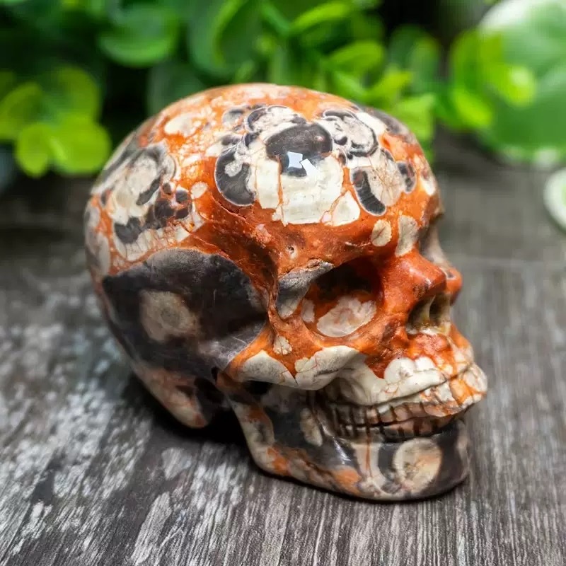 Money Agate Skulls5-5.5cm