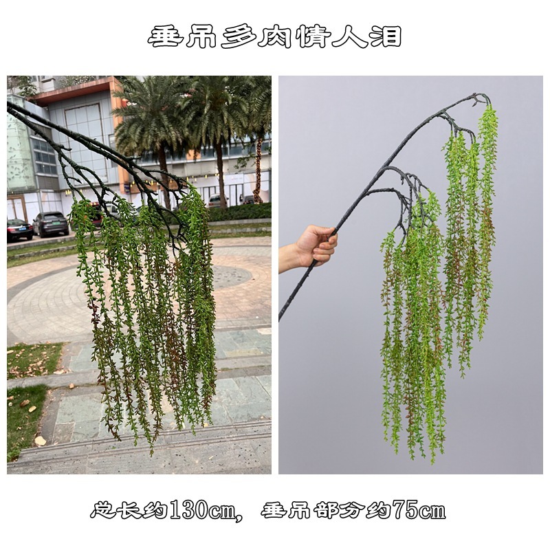 Hanging fleshy lover tears